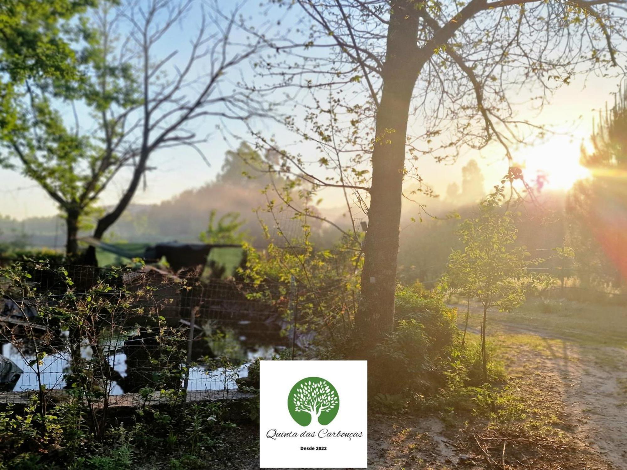 Quinta Das Carboncas Fafe Zewnętrze zdjęcie