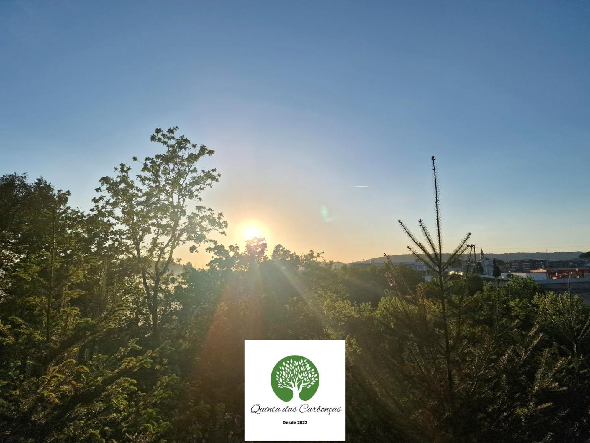 Quinta Das Carboncas Fafe Zewnętrze zdjęcie
