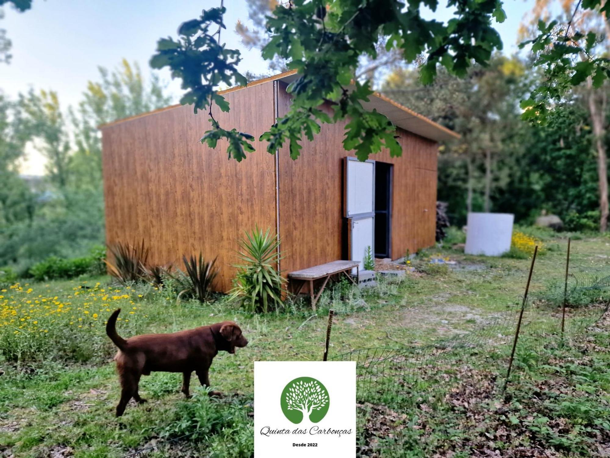 Quinta Das Carboncas Fafe Zewnętrze zdjęcie