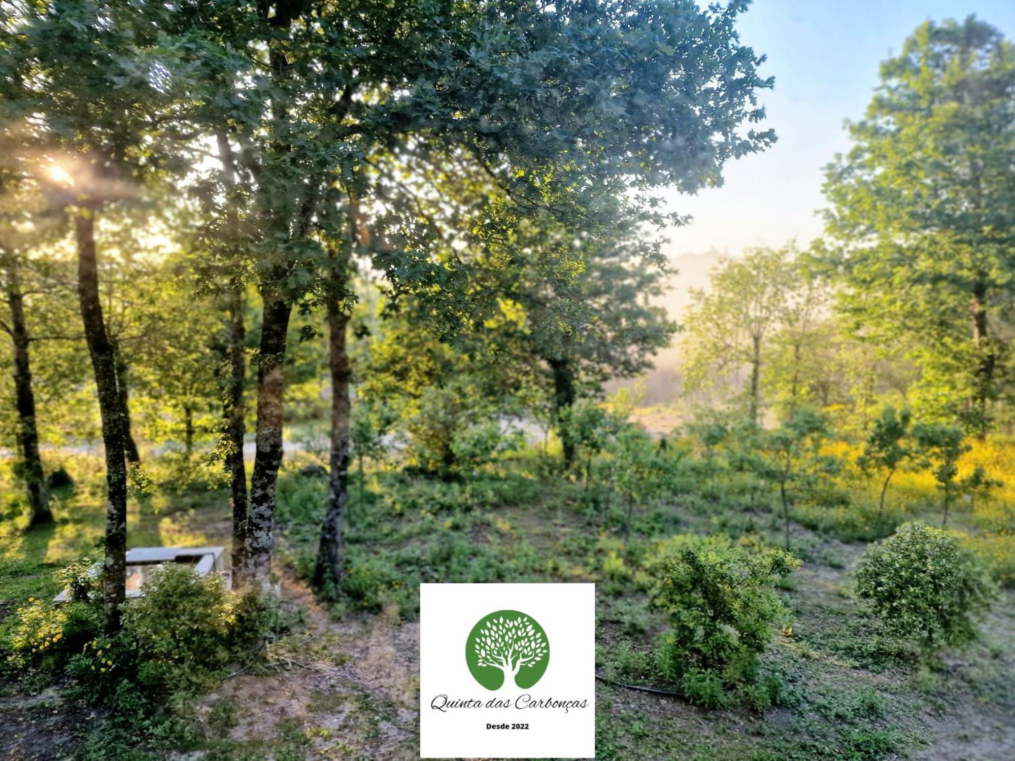 Quinta Das Carboncas Fafe Zewnętrze zdjęcie