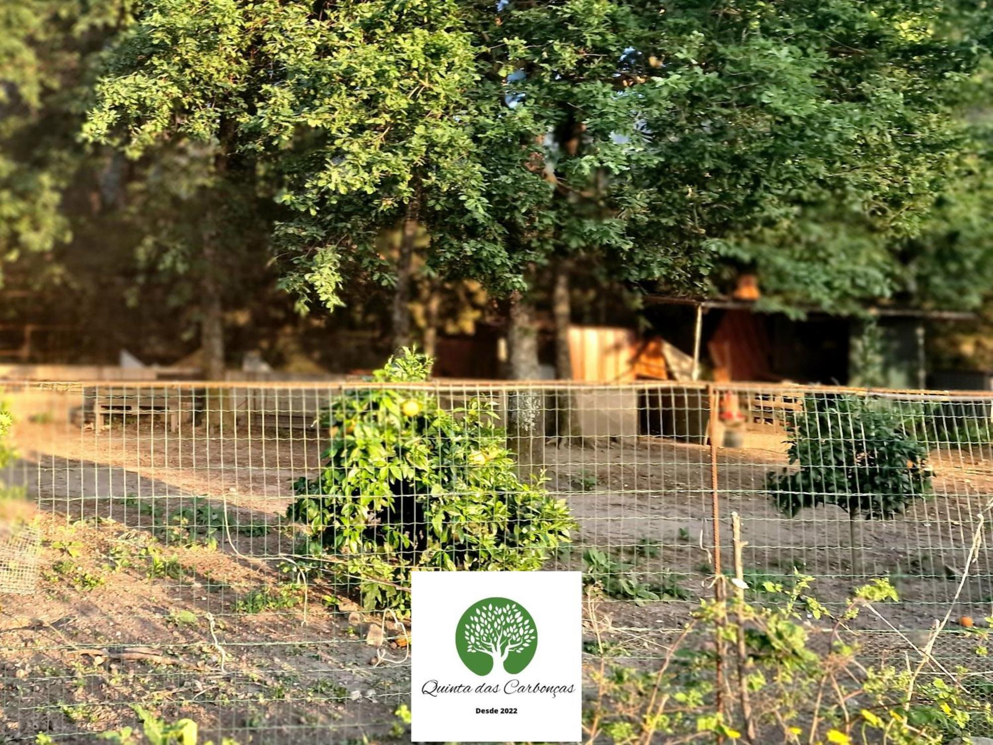 Quinta Das Carboncas Fafe Zewnętrze zdjęcie