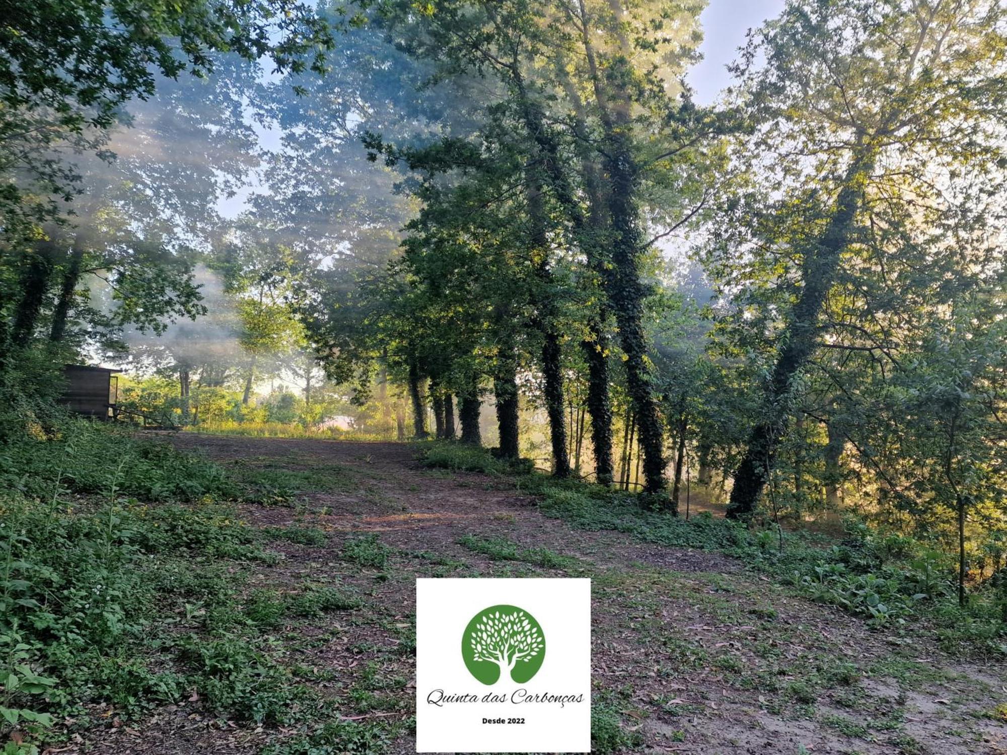 Quinta Das Carboncas Fafe Zewnętrze zdjęcie